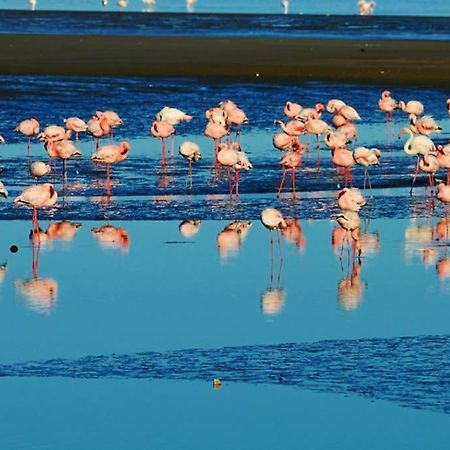 Arabia'S Loft II Nuevo Portil Διαμέρισμα El Portil Εξωτερικό φωτογραφία